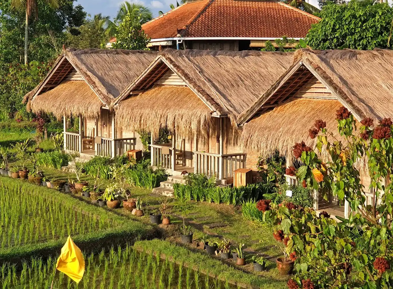 Ayurvedic Wellness House - Bali venue